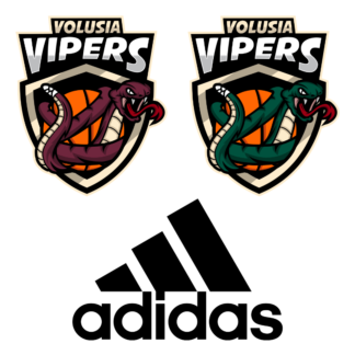 Volusia Vipers AAU - Enrollment